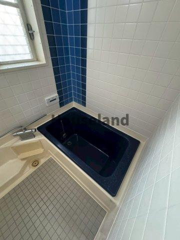 下丹生谷戸建の浴室