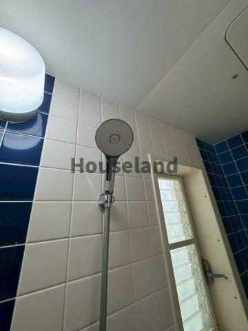 下丹生谷戸建の浴室