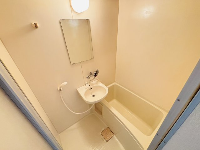 メゾンアバの洗面所