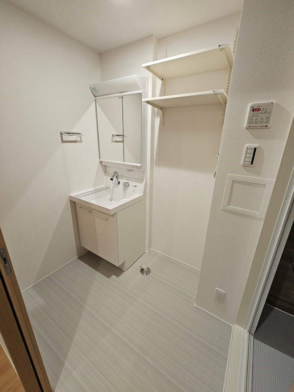 メゾン新和の洗面所