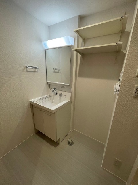 メゾン新和の洗面所