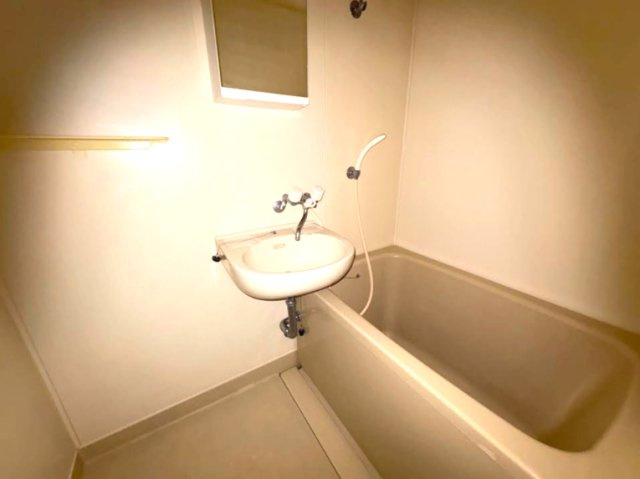 ドミールベルチェリーの浴室