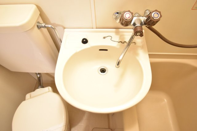 メゾン杉本の洗面所