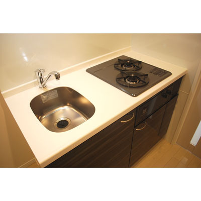 ハーモニーレジデンス御茶ノ水の内装