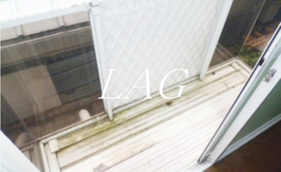 【バルコニー】 | シェンブルグ | バルコニーです。