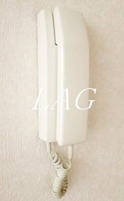 【セキュリティ】 | ファインクレストB | インターフォンです。