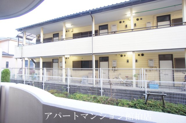 ルピナスの展望