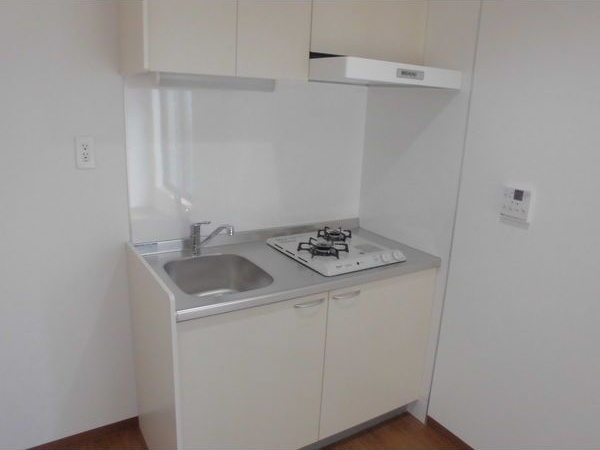 アースクエイク白水北棟のキッチン