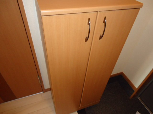 グッドウィル（ＧＯＯＤＷＩＬＬ） 　の収納|玄関収納（イメージ）