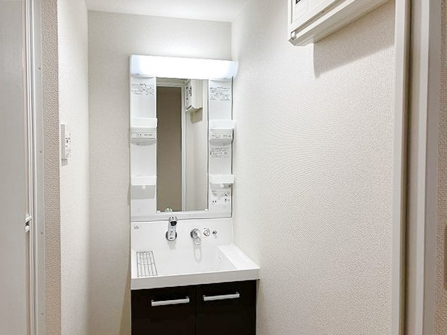 墨田区立川３丁目の賃貸マンションの洗面所