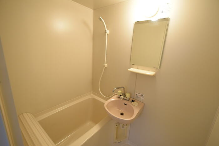 ドミール芦屋の洗面所