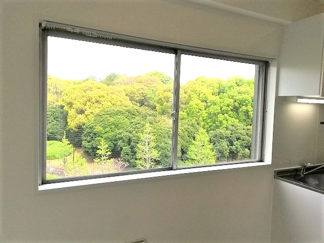 ＰＩＥＲ　ＹＯＹＯＧＩ　５の展望