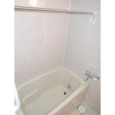 RADIANT　IWAIDAの浴室