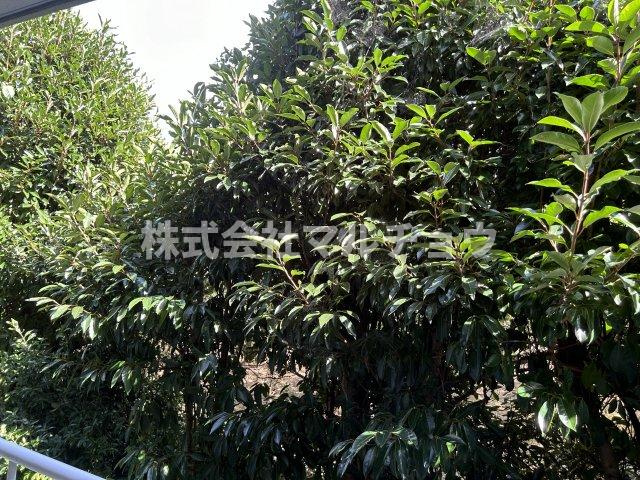 プレジデンス稲成の展望