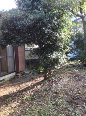 【庭】 | 結城市上成戸建