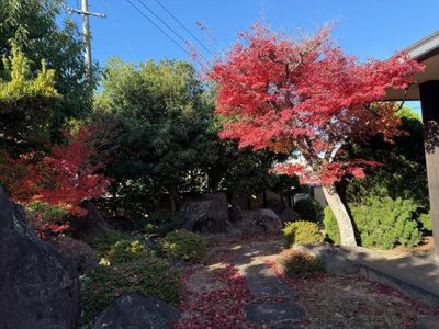 【庭】 | 【インスペクション実施済】中古一戸建　玉島　4LDK | 玄関先には、四季折々の風情を感じられる日本庭園風のお庭が広がります。