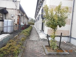 レオパレスフイリスのその他