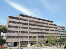 ロイヤルアネックスの画像