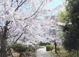 【周辺】 | リビオレゾン日本橋浜町