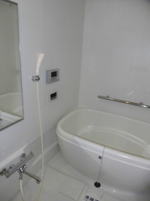 大阪市中央区安堂寺町２丁目の賃貸マンションの浴室