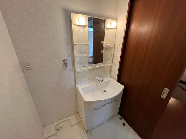 深阪南戸建の洗面所