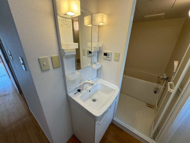 カルム緑地公園Vの洗面所