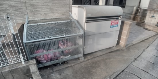 クレイノレグルスⅡのその他