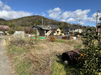 【外観】 | 土地　金光町占見新田　全1区画　100.00坪 | 土地外観。南側から撮影