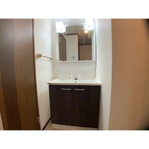 エクシード鳥羽見の洗面所