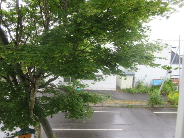 ポラリスの展望