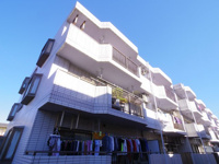 パークアヴェニューの画像