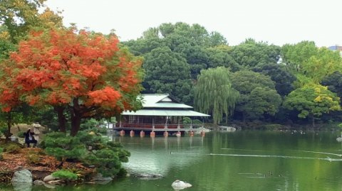 リヴシティ清澄白河の周辺