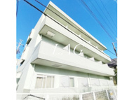 カーサトキの画像