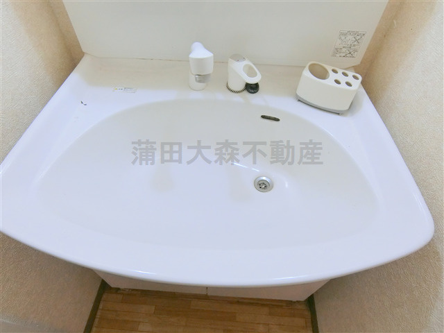 ベルハウス蒲田南の洗面所