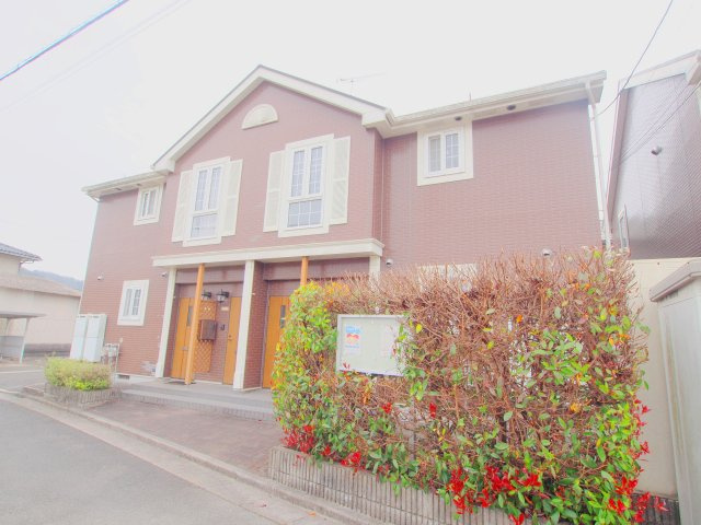 プリムローズ　B