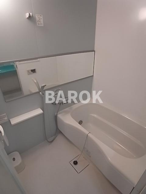 福岡市中央区薬院２丁目の賃貸マンションの浴室