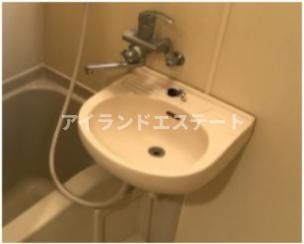 NSハイム　バストイレ別　脱衣所　角住戸の洗面所