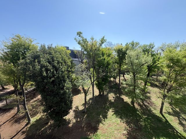 アンビシャスガーデン鶴瀬 の展望|隣接の貝戸の森公園の緑が見えます。