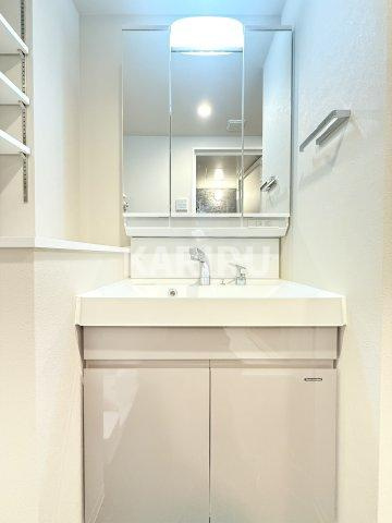 S-RESIDENCE天満橋arの洗面所