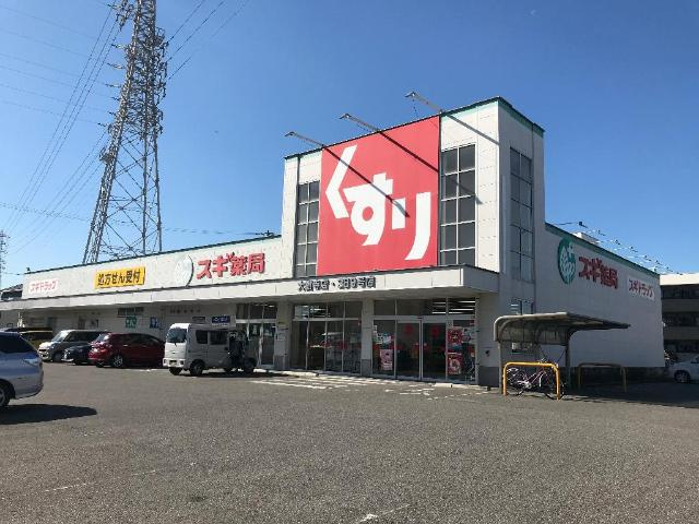 エスポアール南町の周辺|スギ薬局大樹寺店まで607ｍ