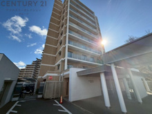 エクステラス日生中央イーストテラスの画像