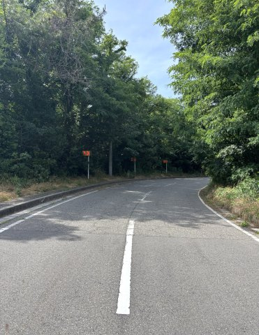 新潟市西区五十嵐一の町　中古戸建の前面道路含む現地写真