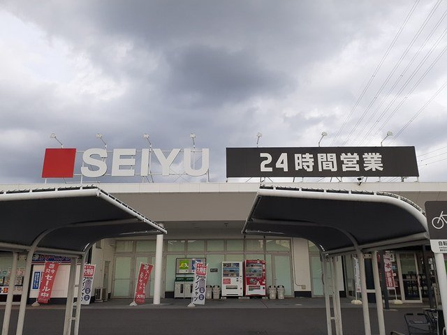 グランドールパレの周辺|西友まで680m