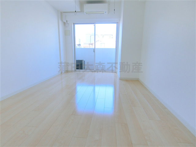 ヴァレッシア蒲田シティの居間・リビング