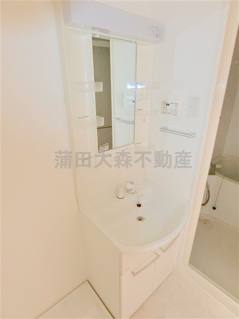 ヴァレッシア蒲田シティの洗面所