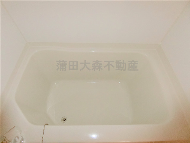 ヴァレッシア蒲田シティの浴室