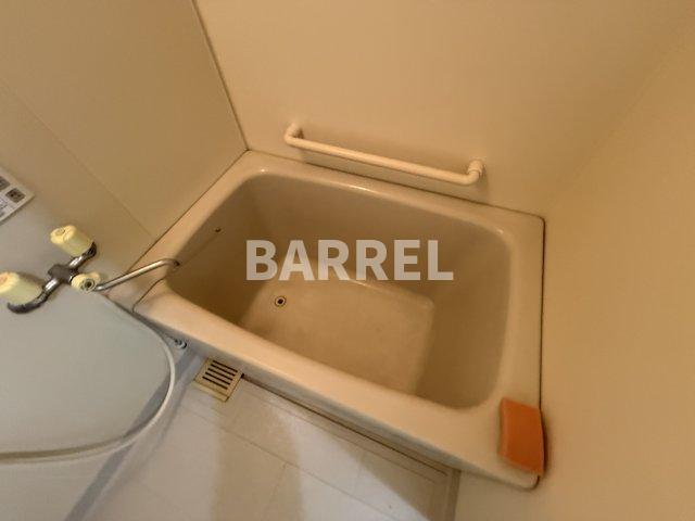 21世紀ペガサスⅢの浴室