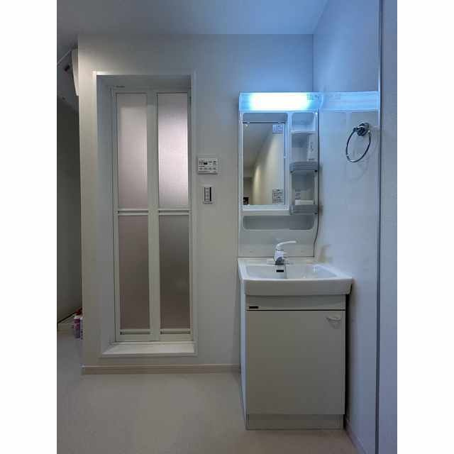 アムール板橋中台の洗面所