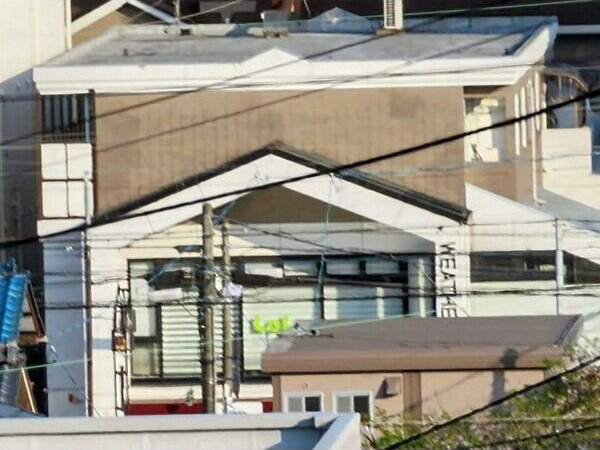 ウェザーフィールドの外観