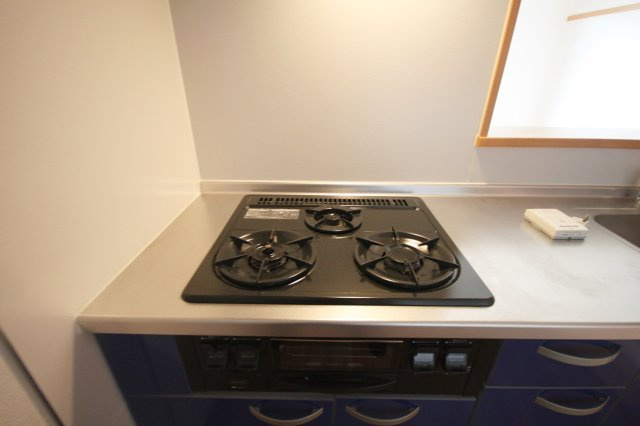 ミリカ・ルブラ2のキッチン